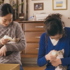 Guu Guu, the Cat Japanese Drama(2014) photo