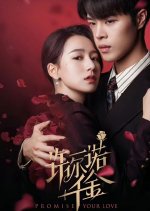Promise Your Love Chinese Drama photo