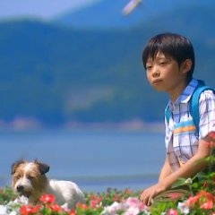 Boku to Mama No Kiiroi Jitensha Japanese Movie photo