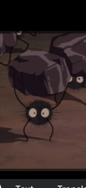 Susuwatari789