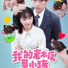 My Piggy Boss Chinese Drama photo