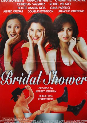 Bridal Shower (2004) poster