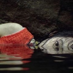 Sympathy for Mr. Vengeance Korean Movie photo