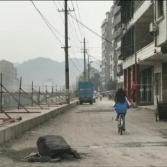 The Foolish Bird Chinese Movie photo