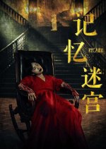 Memory Maze Chinese Movie photo