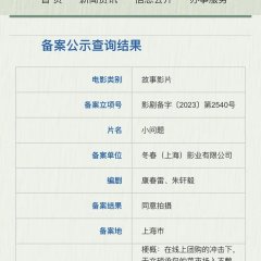 Xiao Wen Ti Chinese Movie photo