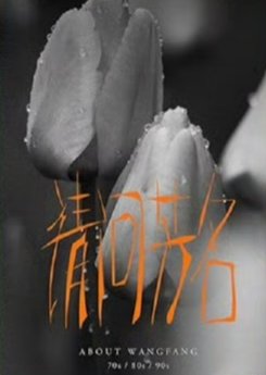 About Wangfang () poster