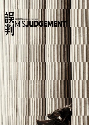 Misjudgement () poster