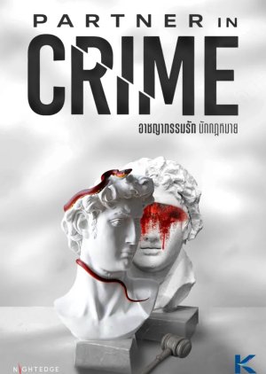 Partner in Crime () poster