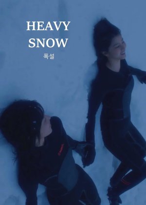 Heavy Snow (2023) poster