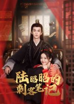 Lu Zhaozhao's Assassination Notes Chinese Drama photo