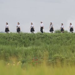 Casting Blossoms to the Sky Japanese Movie photo