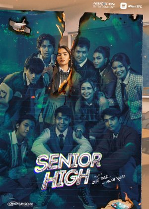 Senior High (2023) poster