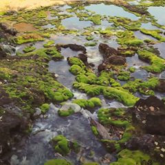 Aruku Hito Japanese Drama photo