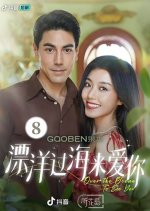 Over the Ocean to See You Chinese Drama photo