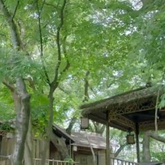 I Will Never Let You Go Chinese Drama photo