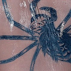 Irezumi Japanese Movie photo