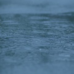 Chihayafuru Part 1 Japanese Movie photo