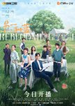 Reblooming Blue chinese drama review