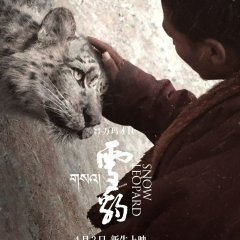 Snow Leopard Chinese Movie(2023) photo