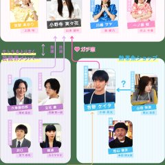 Idol Shikkaku Japanese Drama photo