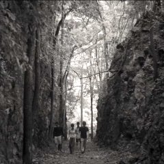 Come Here Thai Movie photo