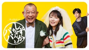 Drama Recommendation: Shizuka-chan to Papa