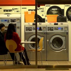 Antonym Japanese Movie photo