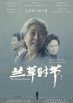 The Orchid Season Chinese Movie photo