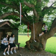 Drama Special Season 7: The Red Teacher Korean Drama photo