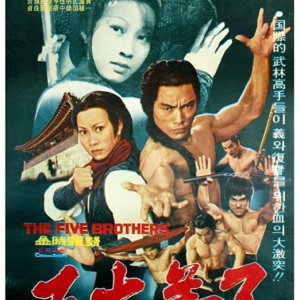 Dragon Lee vs Five Brothers (1978)