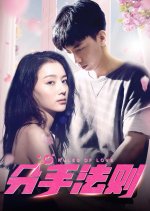 Rules of Love Chinese Movie(2019) photo
