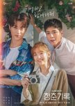 Record of Youth korean drama review
