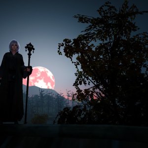 Kamisama no Boto  (2013)