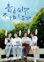 The Story of Bird Chinese TV Program photo