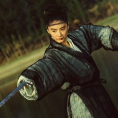 Ashes of Time Hong Kong Movie(1994) photo