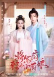 The Little Wife of the General chinese drama review