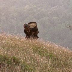 Again the Wind Blows Korean Movie photo