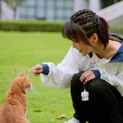 Lin Xi Chi photo