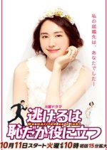 The Full-Time Wife Escapist Japanese Drama photo