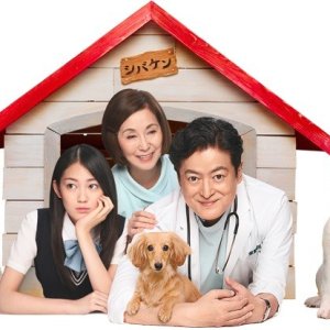 Kamisama no Boto  (2013)