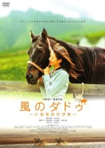 Kaze no Daddu Japanese Movie photo