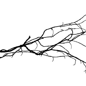 Kamisama no Boto  (2013)