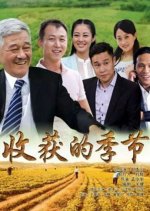Harvest Season Chinese Drama photo