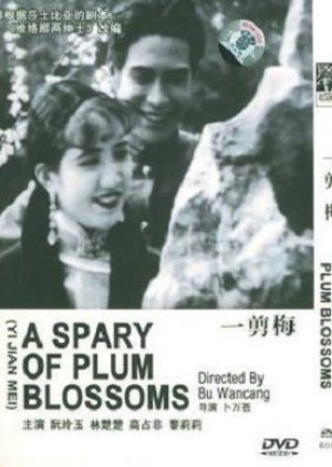 A Spray of Plum Blossoms () poster