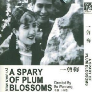 A Spray of Plum Blossoms ()