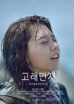 Ambergris Korean Drama photo