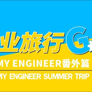 My Engineer Summer Trip (2020)