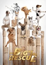 The Big Rescue