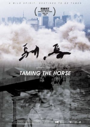 Taming the horse (2017) poster